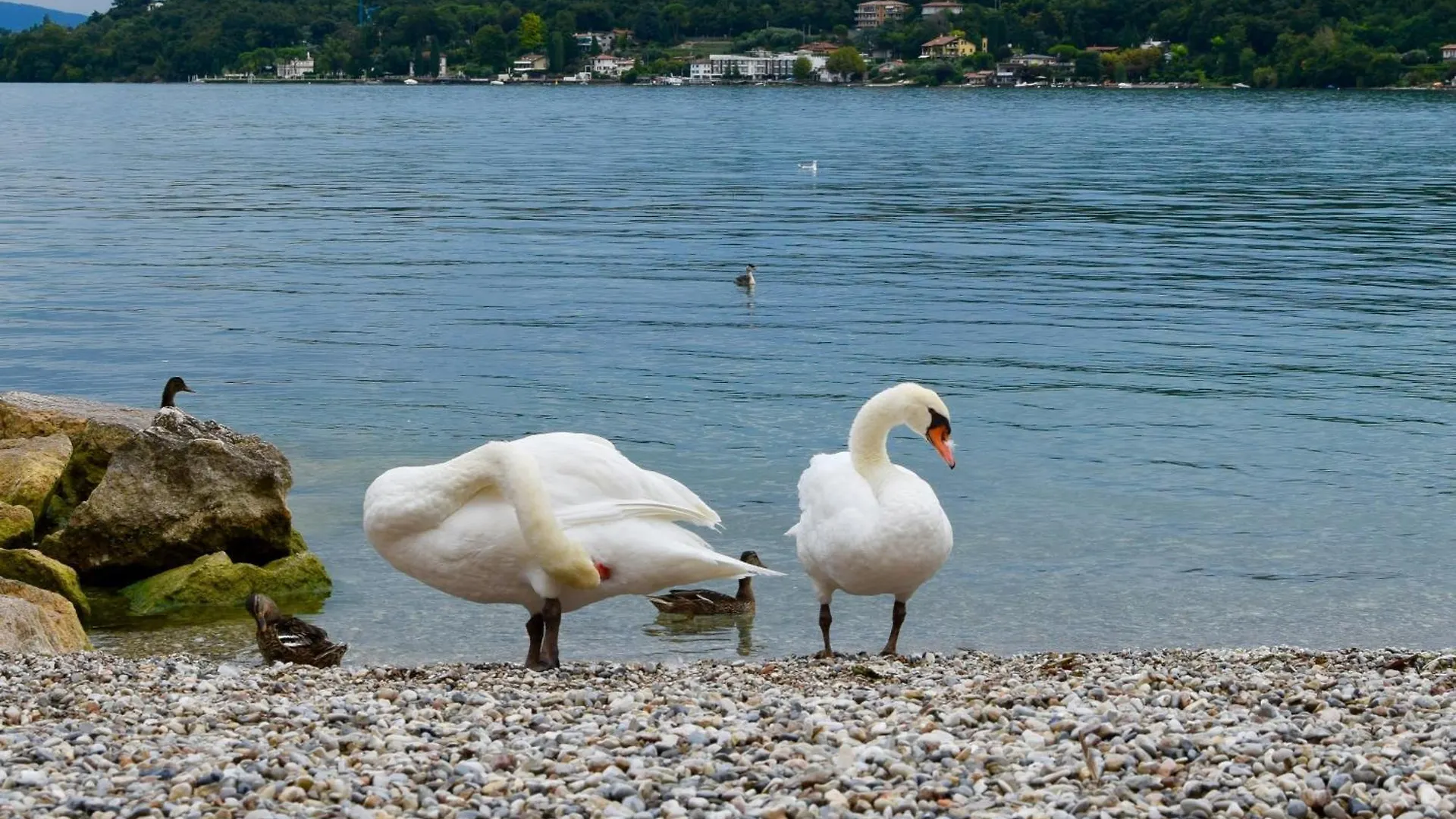 Apartmán Villa Donne Del Lago Marta Salò